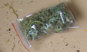 marihuana w torebce foliowej