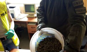 Zabezpieczone narkotyki