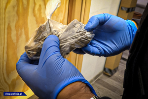 znaleziony w trakcie przeszukania, trzymany w dłoniach przez policjanta CBŚP, susz roślinny w foliowej torebce