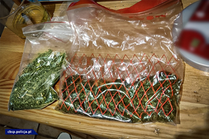 Dwie torby strunowe z zawartością zielonego suszu.