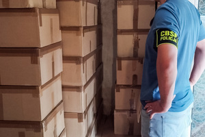 funkcjonariusze w trakcie realizacji