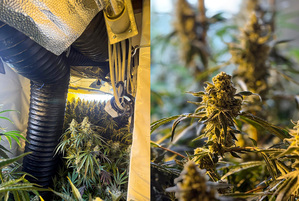 Funkcjonariusze w trakcie realizacji