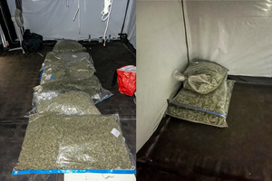 Funkcjonariusze w trakcie realizacji