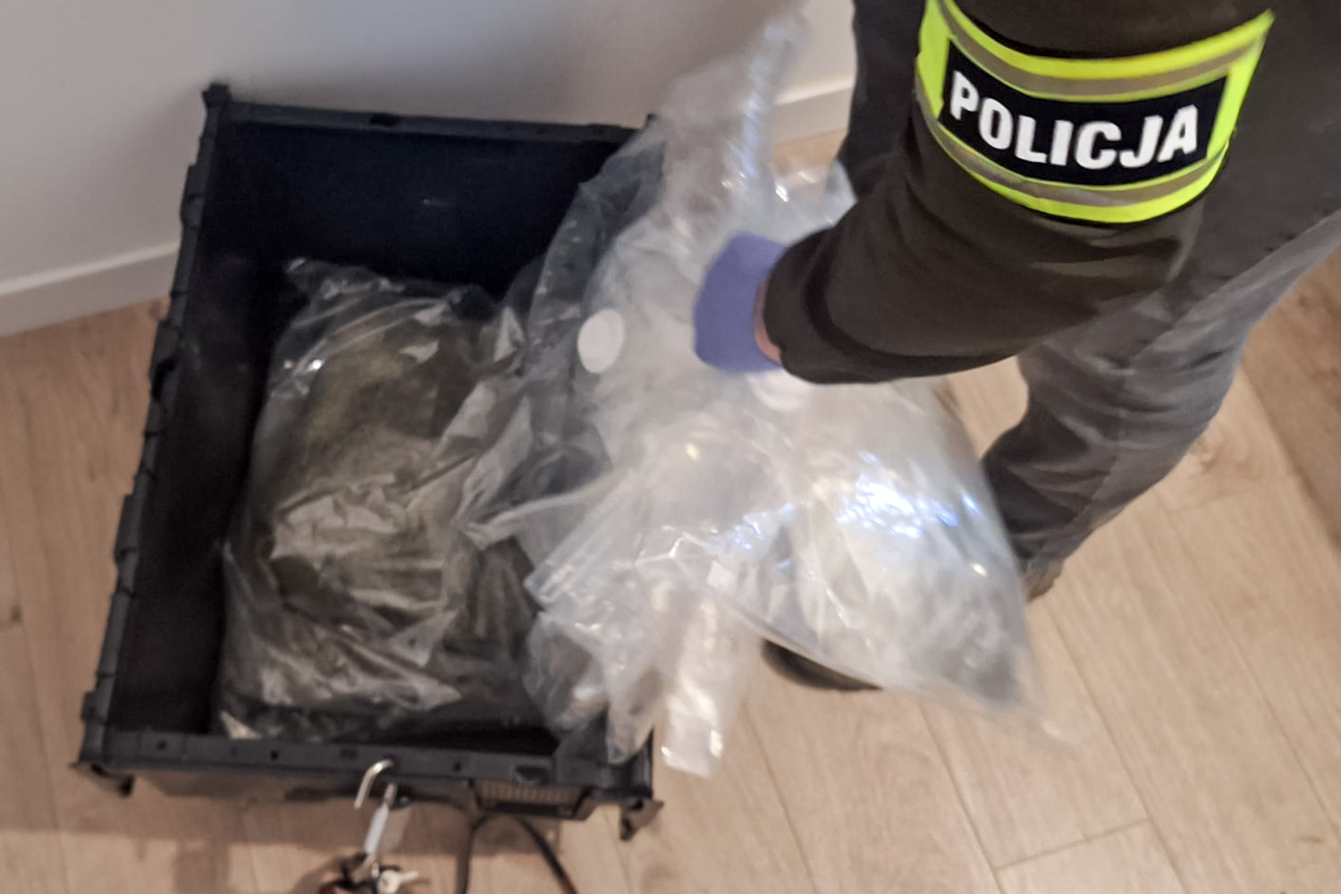 CBŚP przejmuje ponad 40 kilogramów narkotyków wartych 1,5 mln zł – podejrzany trafił do aresztu